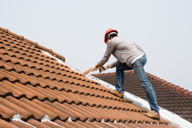 Best Slate Roofing  in Warm Mineral Springs, FL