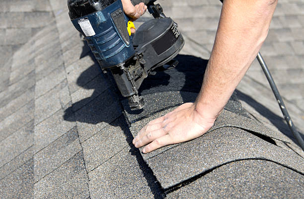 Best Roof Insulation Installation  in Warm Mineral Springs, FL